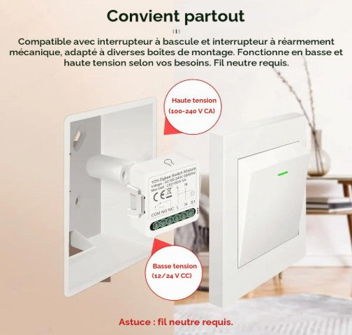 Module de commutateur de relais intelligent / Contact sec Tuya AC;DC / Compatible avec Alexa Google Home